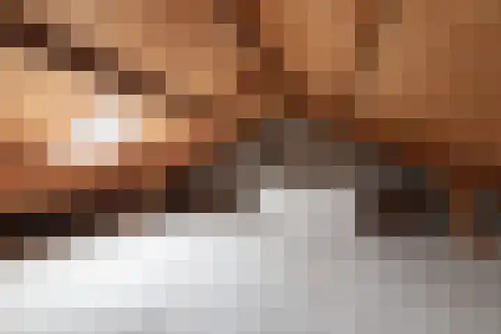 Rijskampstraat 20 Aduard thumbnail 32