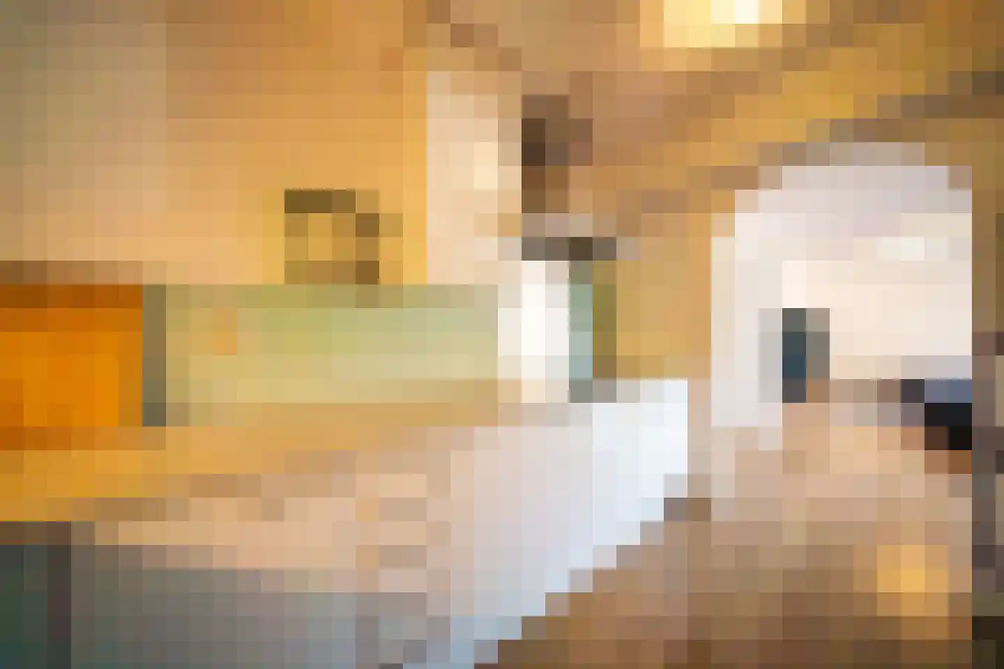 Rijslag 1 A Den Haag thumbnail 12