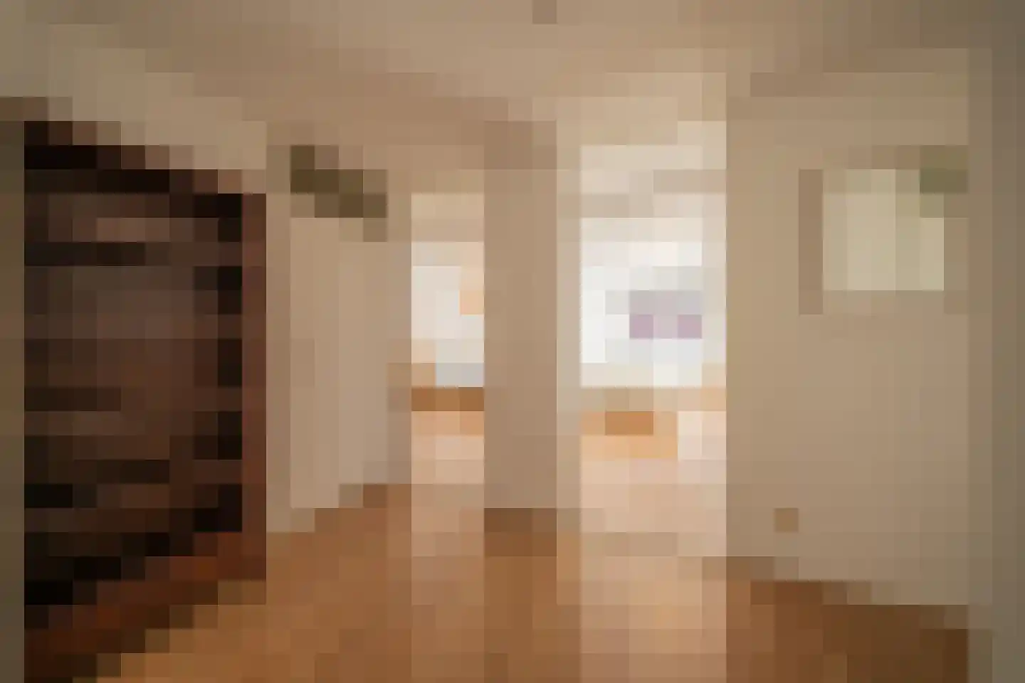 Rijslag 1 A Den Haag thumbnail 15