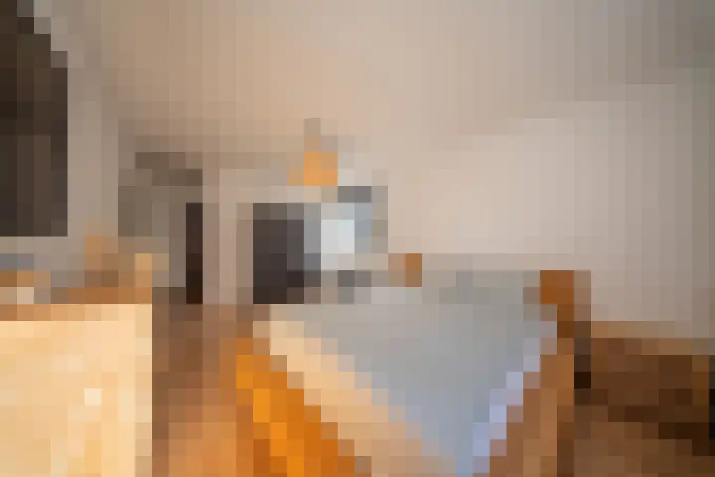 Rijslag 1 A Den Haag thumbnail 16