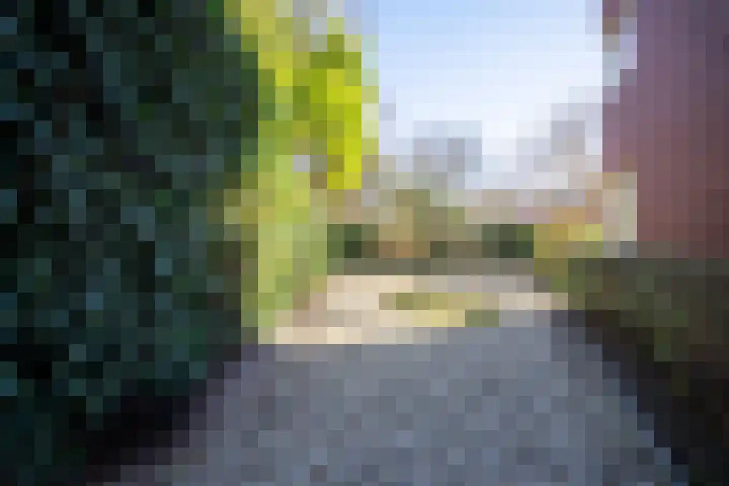 Rijslag 1 A Den Haag thumbnail 26