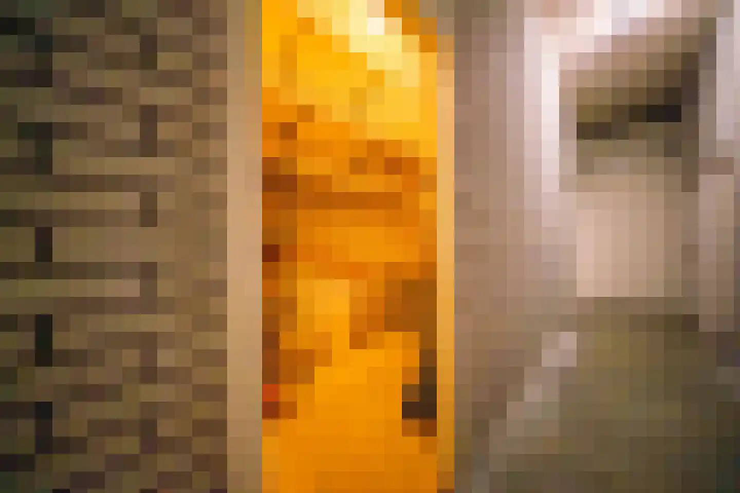 Rijslag 1 A Den Haag thumbnail 28