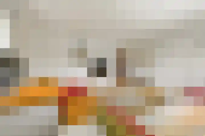 Rijslag 27 Den Haag thumbnail 103