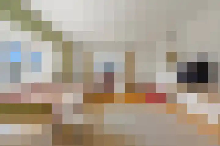 Rijslag 27 Den Haag thumbnail 104