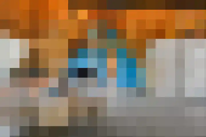 Rijslag 27 Den Haag thumbnail 111