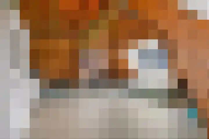 Rijslag 27 Den Haag thumbnail 118
