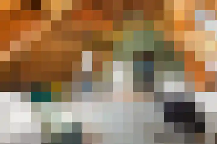 Rijslag 27 Den Haag thumbnail 119