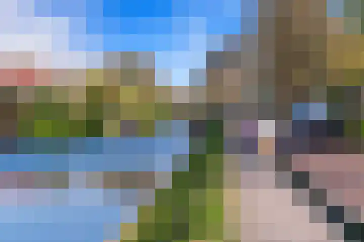 Rijslag 27 Den Haag thumbnail 123