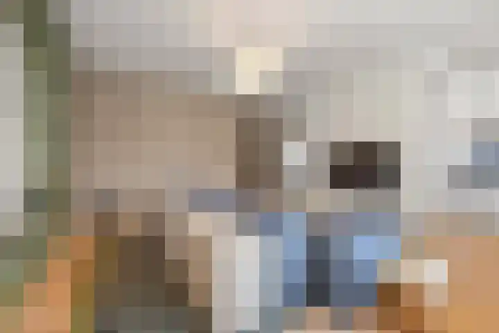 Rijslag 27 Den Haag thumbnail 18