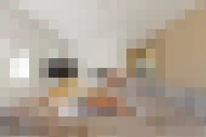 Rijslag 27 Den Haag thumbnail 21