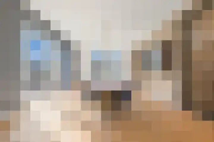 Rijslag 27 Den Haag thumbnail 27