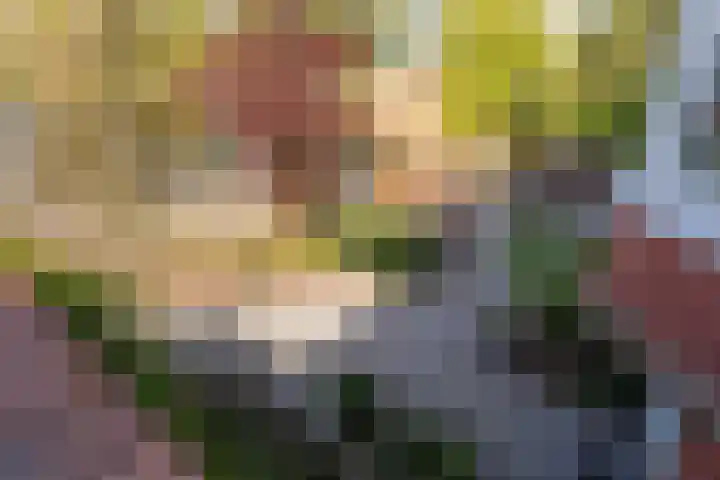 Rijslag 27 Den Haag thumbnail 36