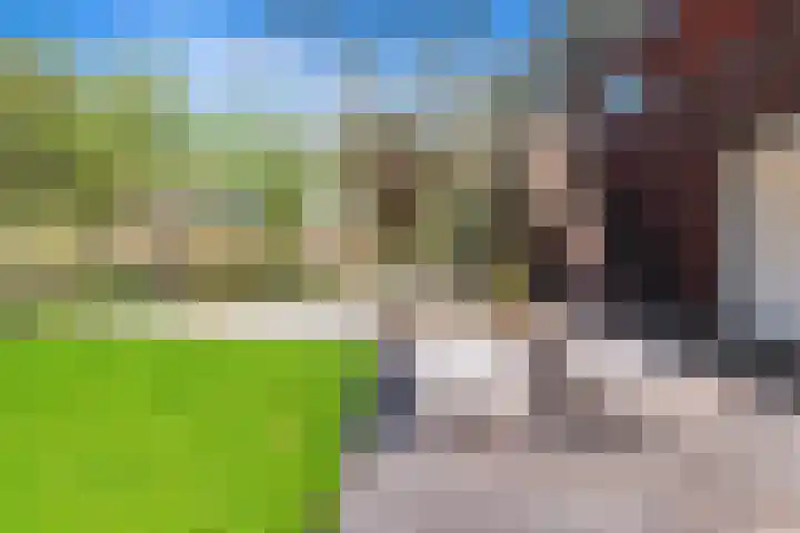 Rijslag 27 Den Haag thumbnail 41