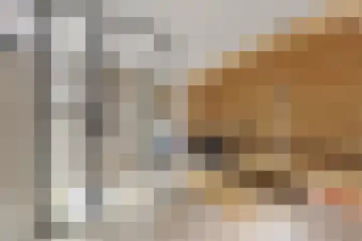 Rijslag 27 Den Haag thumbnail 64