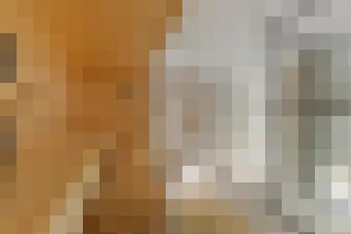 Rijslag 27 Den Haag thumbnail 65