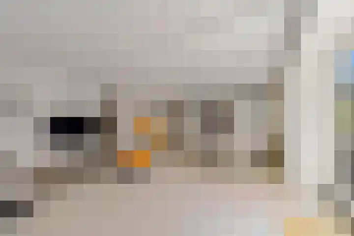 Rijslag 27 Den Haag thumbnail 74