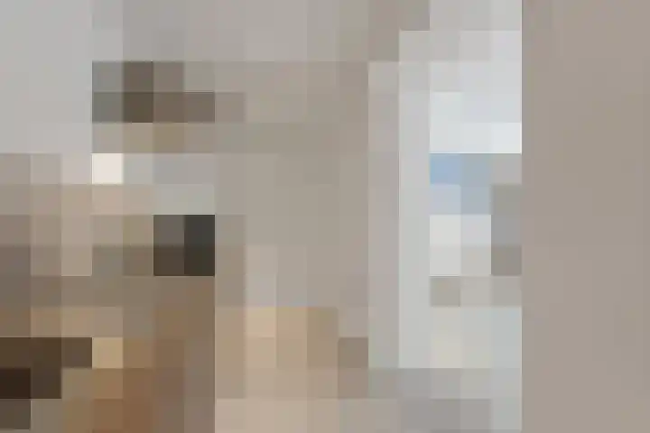 Rijslag 27 Den Haag thumbnail 77