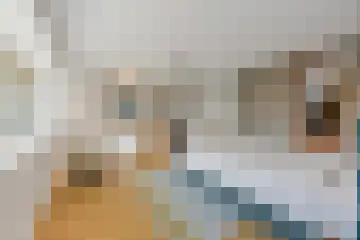 Rijslag 27 Den Haag thumbnail 90