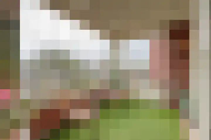 Rijslag 7 A Den Haag thumbnail 21