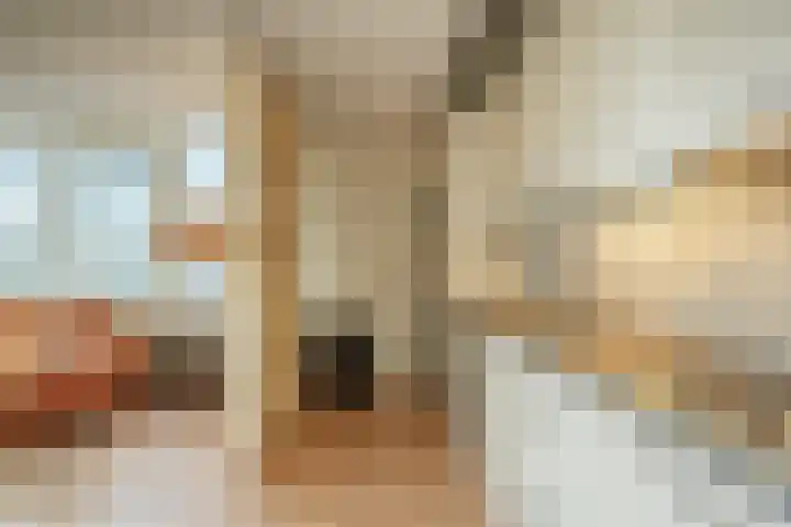 Rijslag 7 A Den Haag thumbnail 8