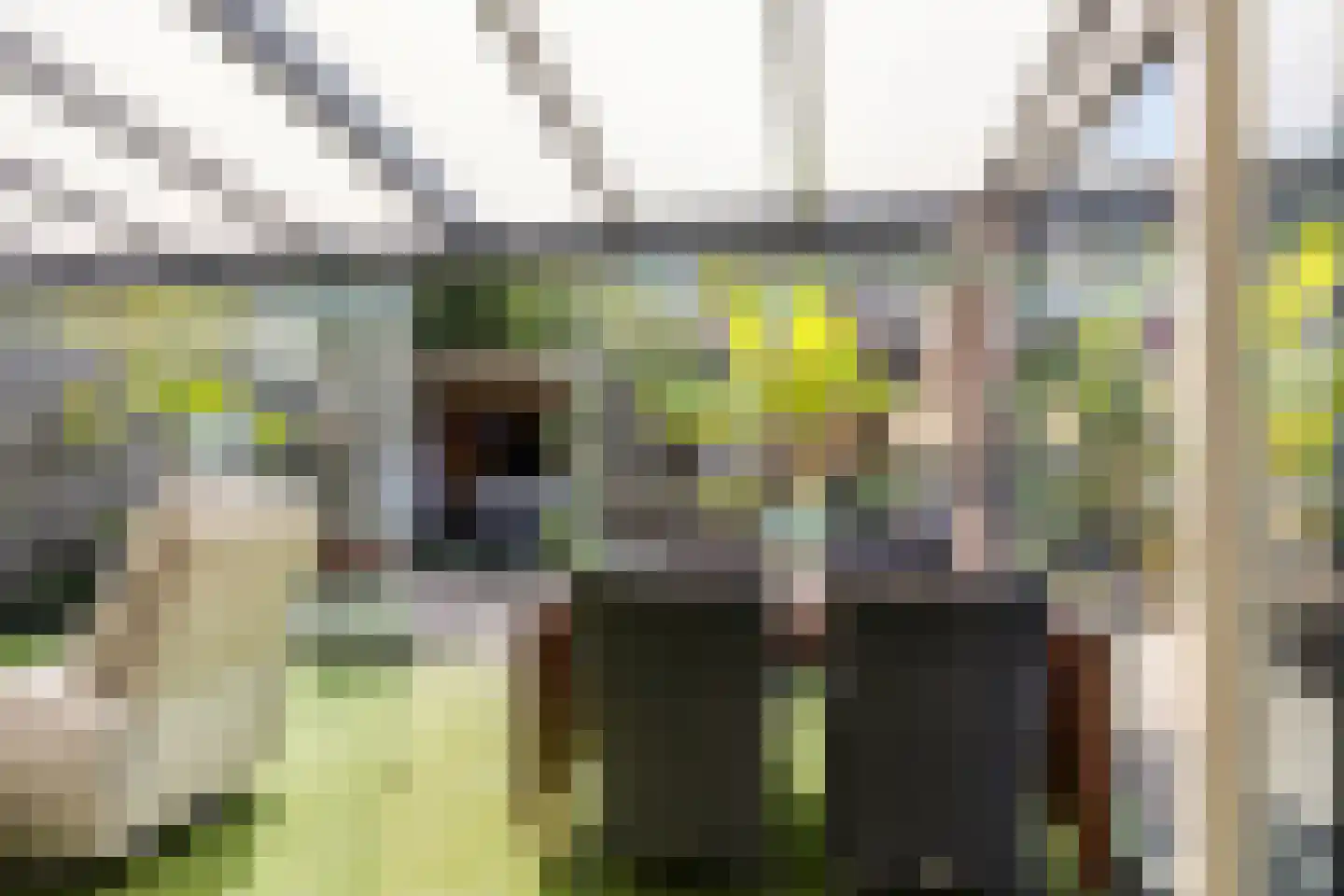 Rijsoordplantsoen 2 Arnhem thumbnail 17