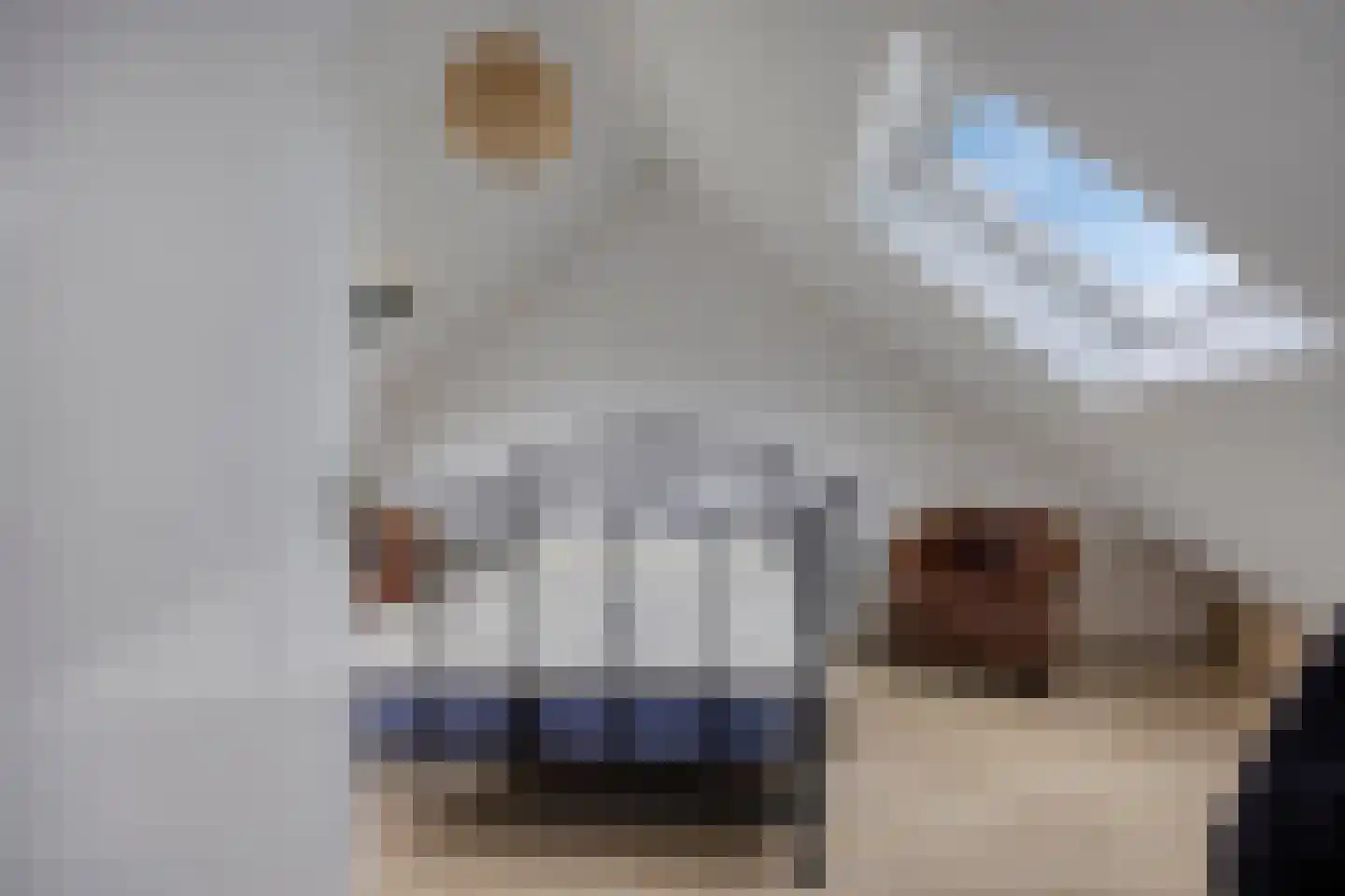 Rijsoordplantsoen 2 Arnhem thumbnail 35