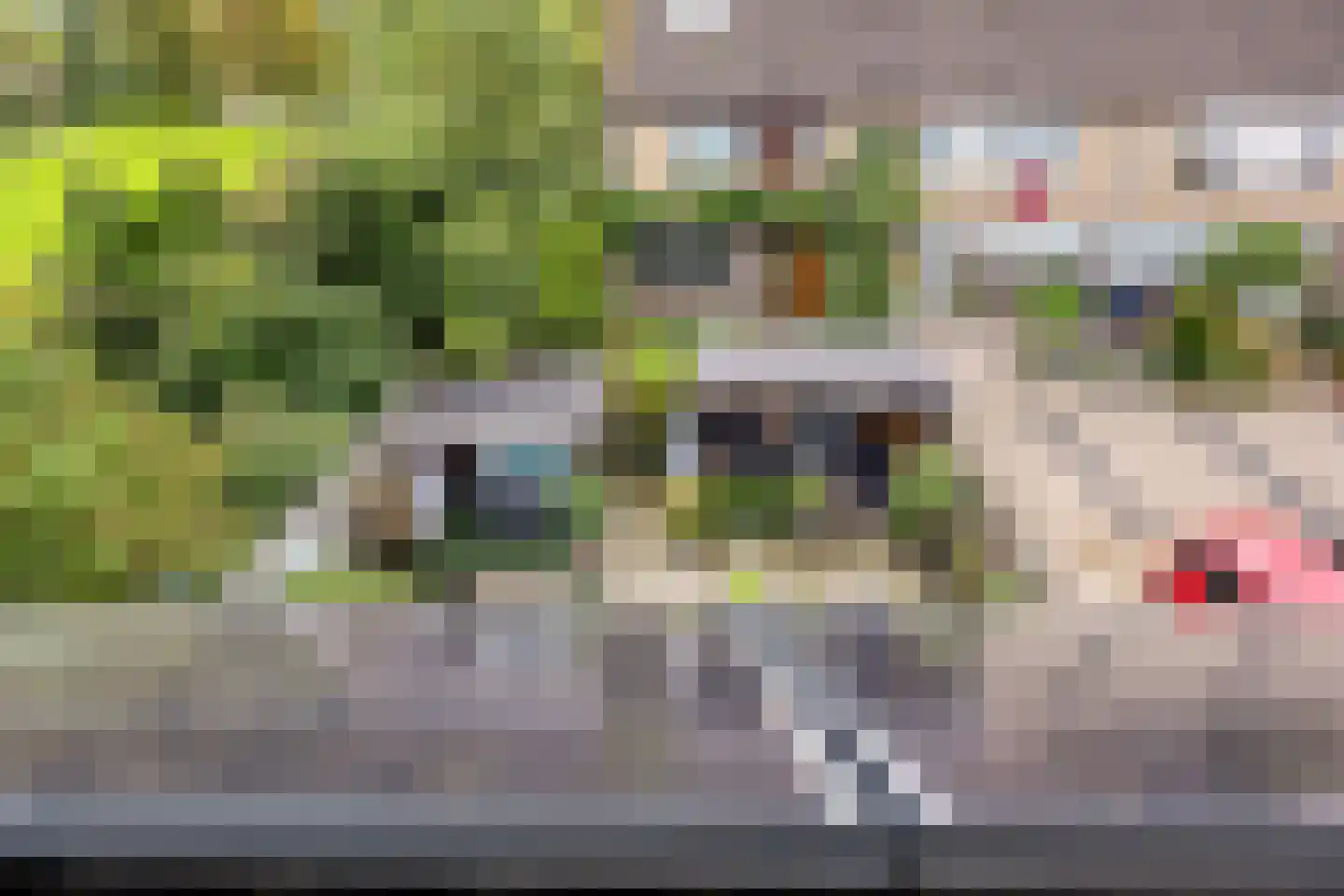 Rijsoordplantsoen 2 Arnhem thumbnail 37
