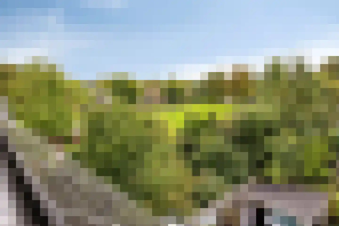 Rijsoordplantsoen 2 Arnhem thumbnail 38