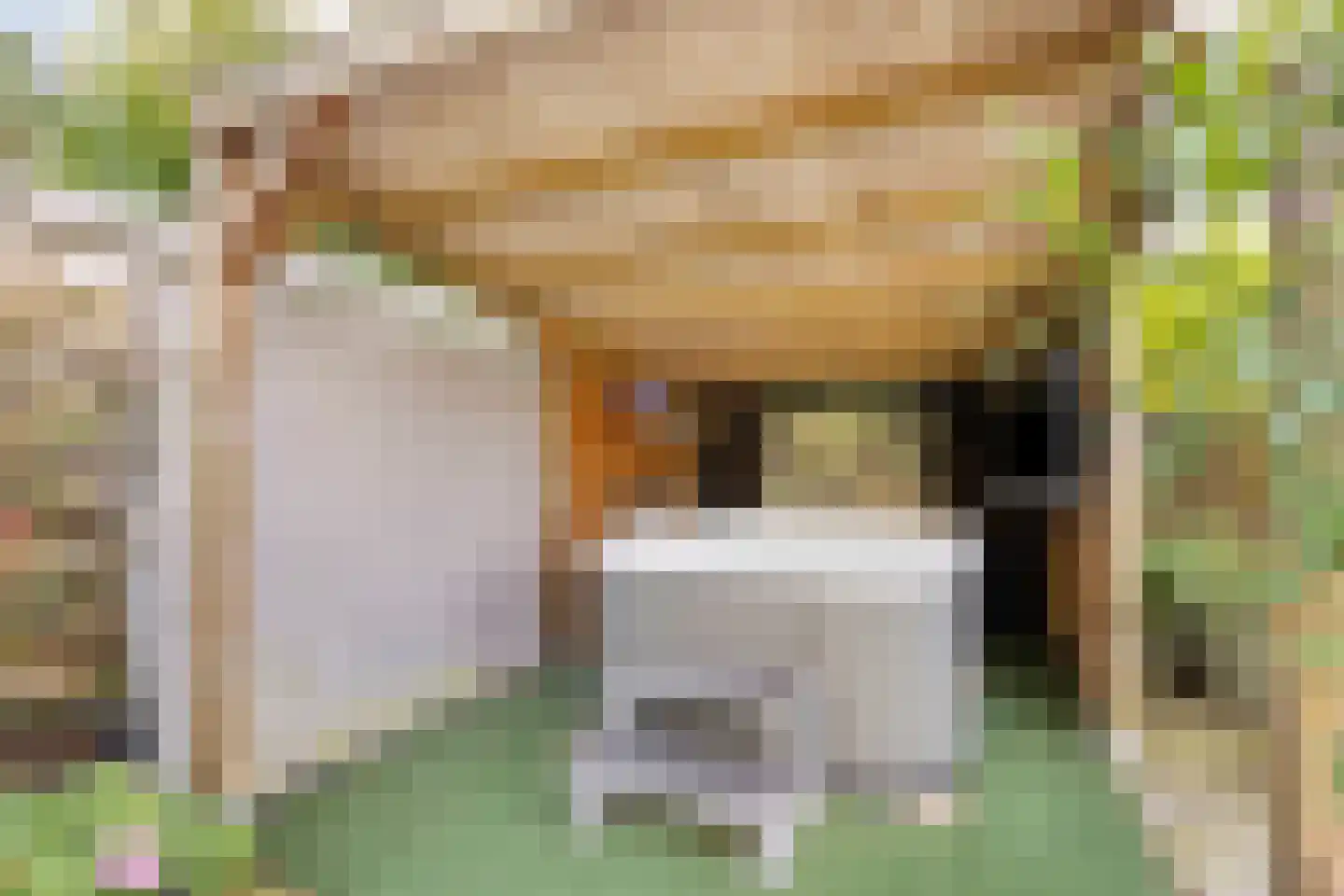 Rijsoordplantsoen 2 Arnhem thumbnail 42