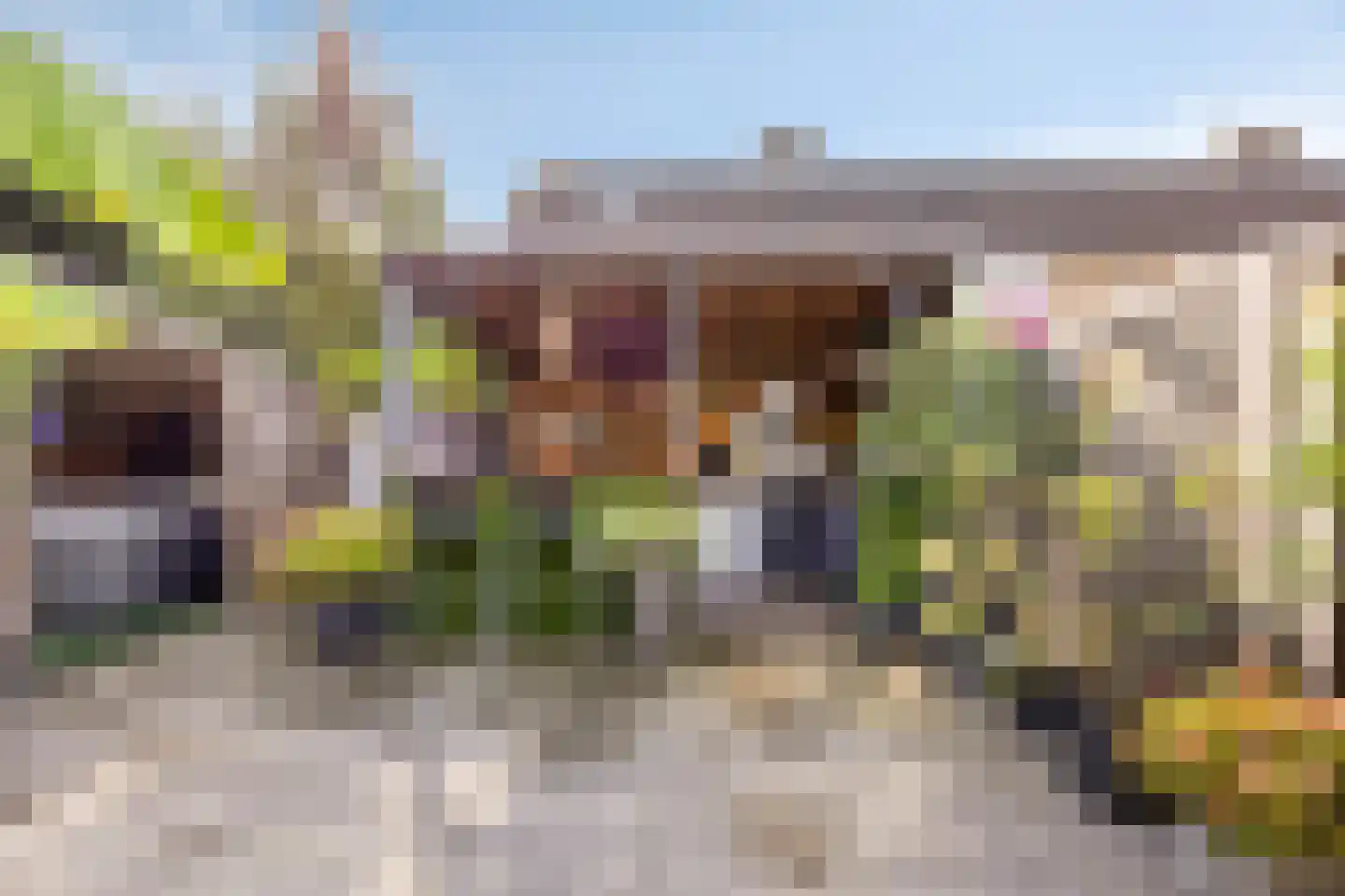 Rijsoordplantsoen 2 Arnhem thumbnail 44