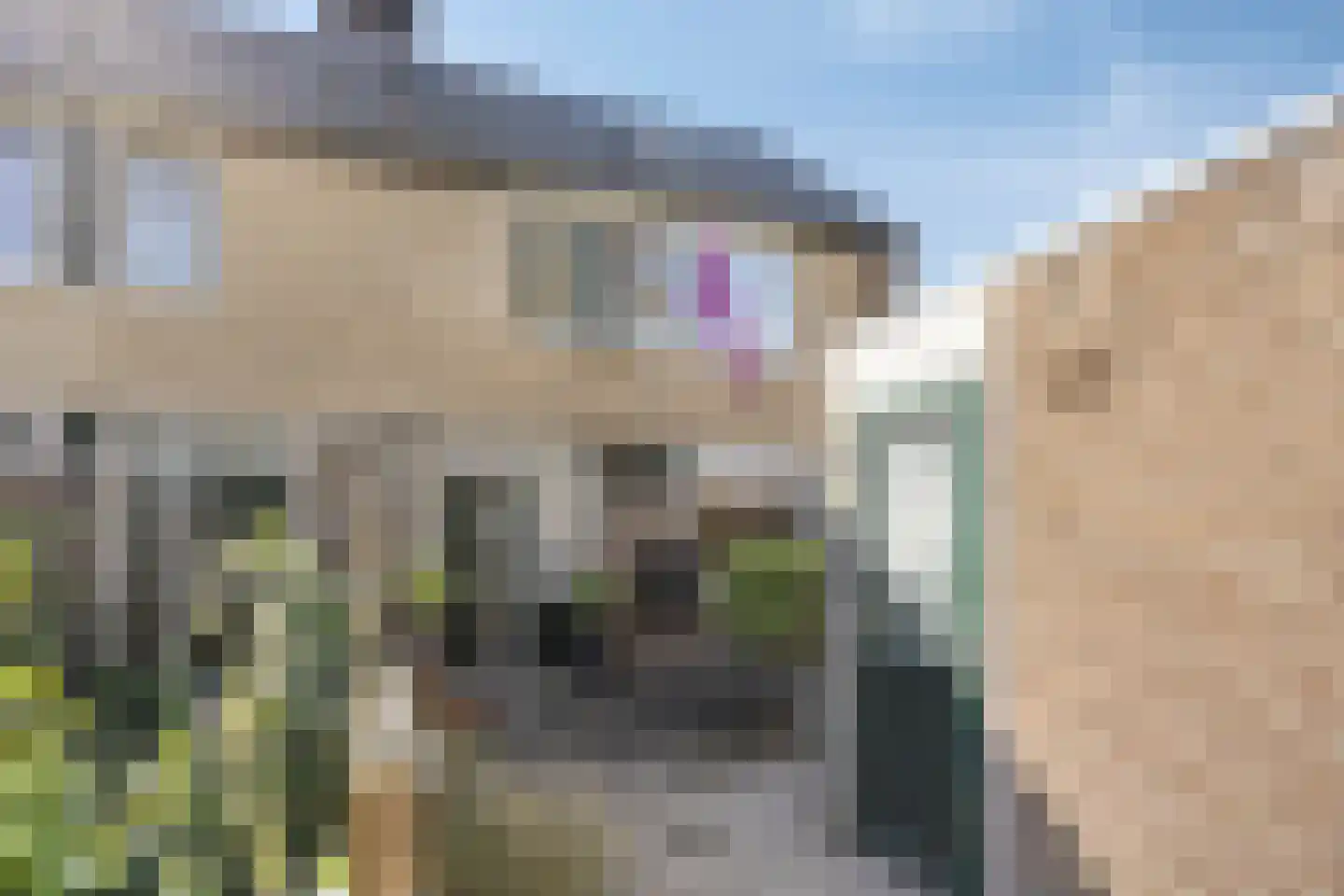 Rijsoordplantsoen 2 Arnhem thumbnail 8