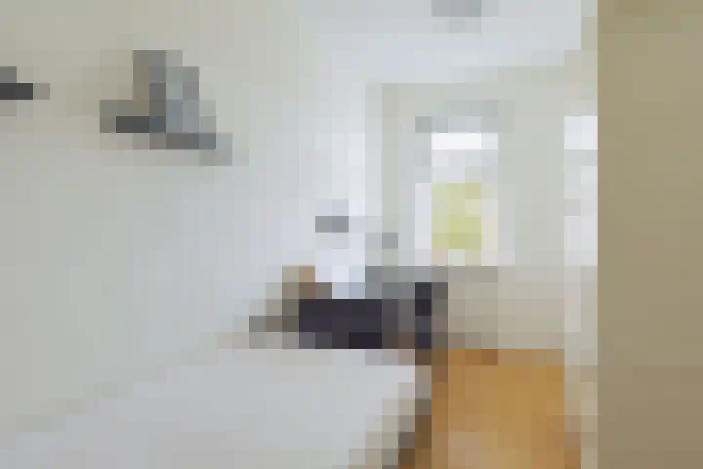 Rijsoordsestraat 12 Ridderkerk thumbnail 21