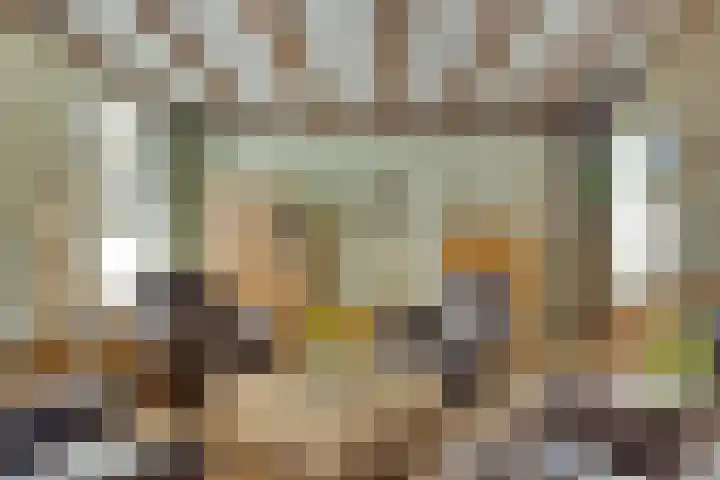 Rijsoordsestraat 24 Ridderkerk thumbnail 14