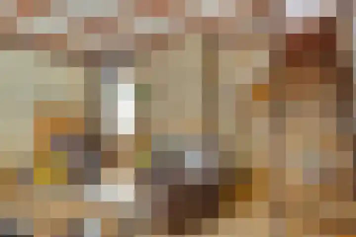 Rijsoordsestraat 24 Ridderkerk thumbnail 15