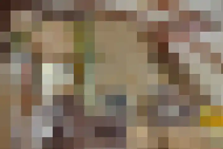 Rijsoordsestraat 24 Ridderkerk thumbnail 16