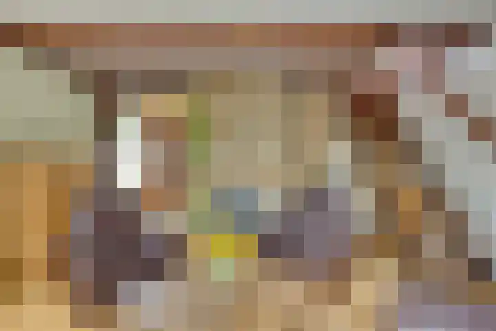Rijsoordsestraat 24 Ridderkerk thumbnail 17