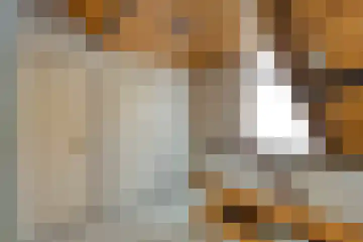Rijsoordsestraat 24 Ridderkerk thumbnail 18