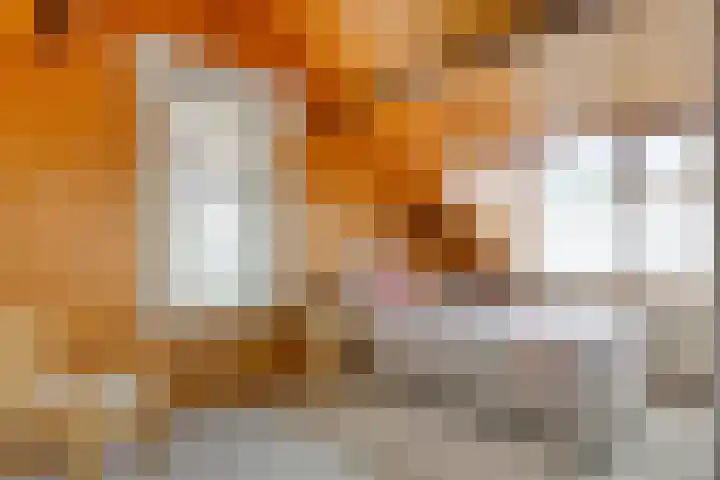 Rijsoordsestraat 24 Ridderkerk thumbnail 25