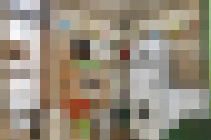 Rijsoordsestraat 24 Ridderkerk thumbnail 30