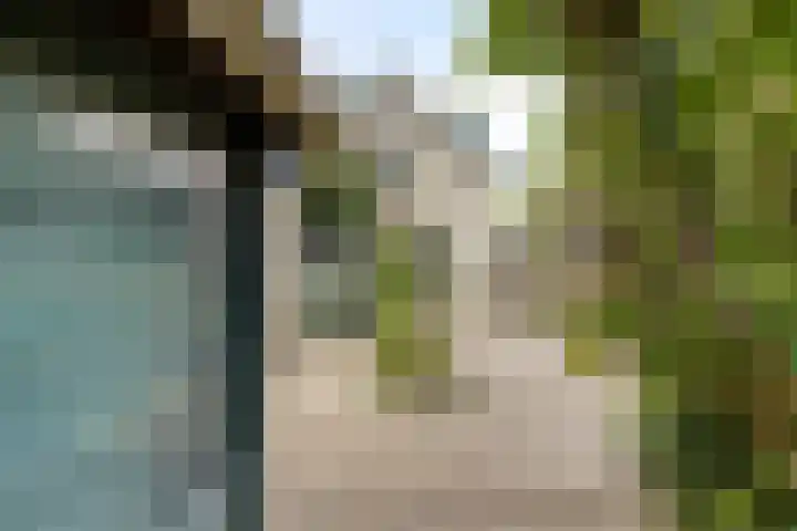 Rijsoordsestraat 24 Ridderkerk thumbnail 37