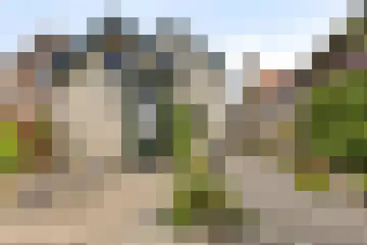 Rijsoordsestraat 24 Ridderkerk thumbnail 38