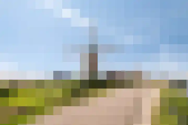 Rijsoordsestraat 24 Ridderkerk thumbnail 41