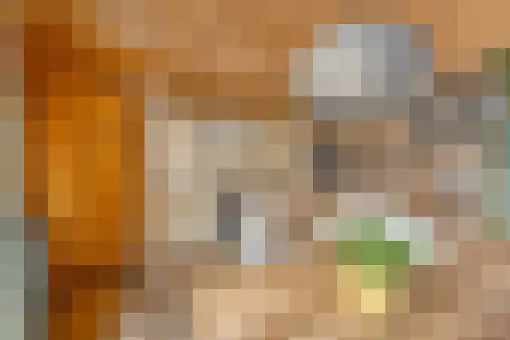 Rijsoordsestraat 24 Ridderkerk thumbnail 8