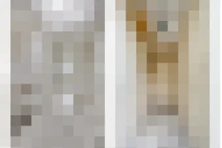 Rijsoordstraat 38 B Rotterdam thumbnail 33