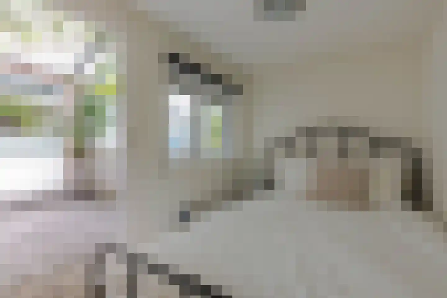 Rijsoordstraat 40 A Rotterdam thumbnail 5