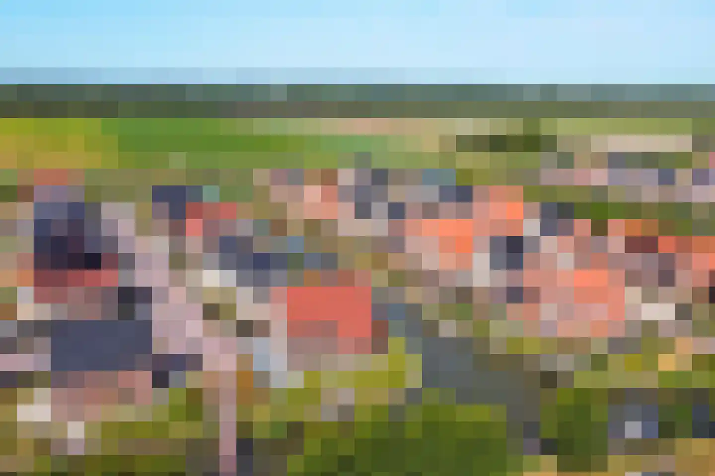Rijsoort 2 Broek op Langedijk