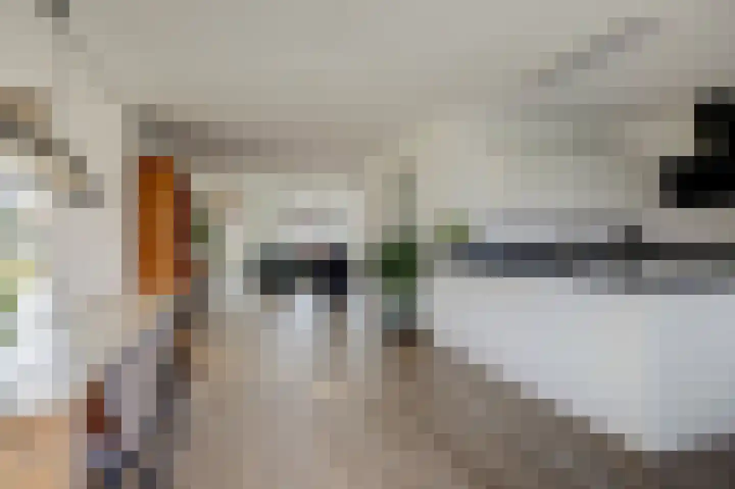 Rijsoort 2 Broek op Langedijk thumbnail 11