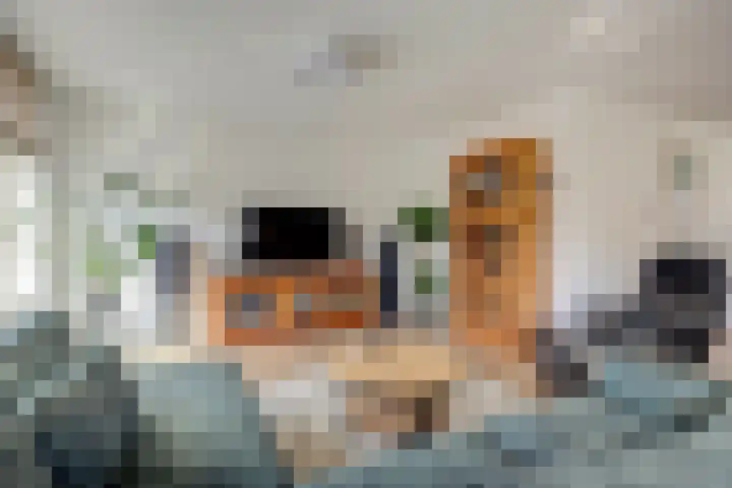 Rijsoort 2 Broek op Langedijk thumbnail 12