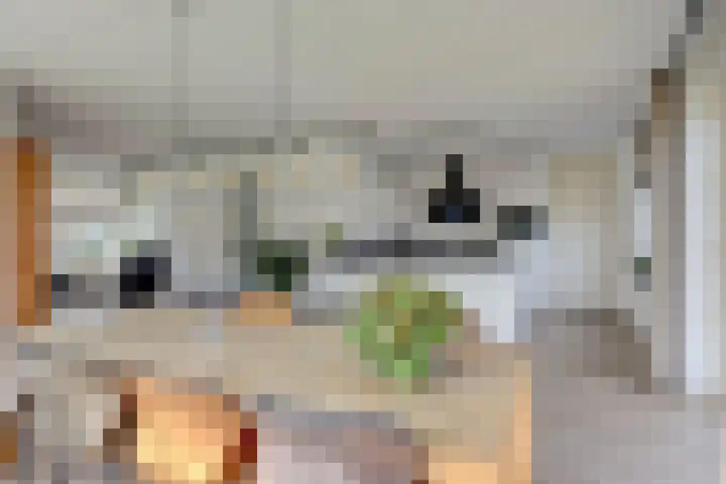 Rijsoort 2 Broek op Langedijk thumbnail 18