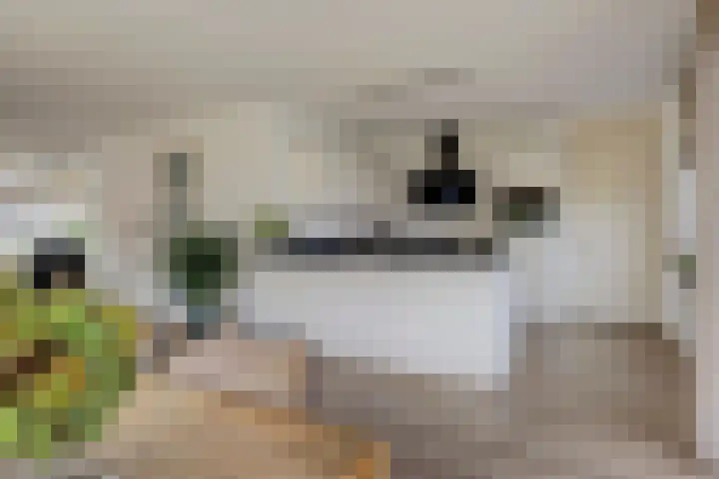 Rijsoort 2 Broek op Langedijk thumbnail 19